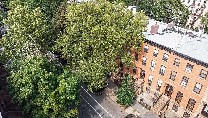 Rented by Ivey North LLC | media 35