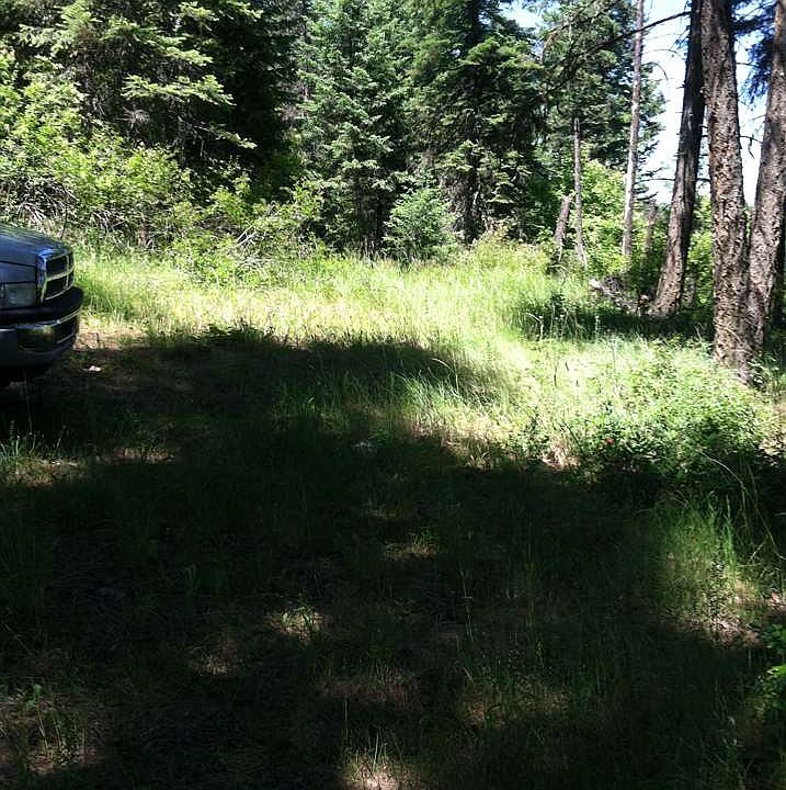 2nd image of 41502 N Perry Rd