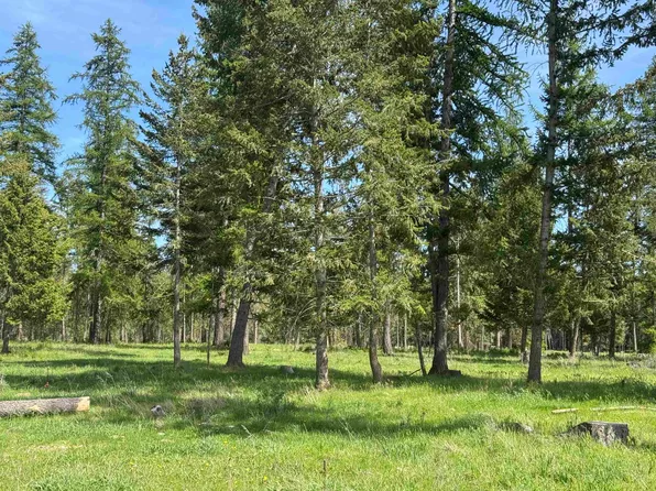 29210 N Spotted Rd Parcel H, Deer Park, WA 99006