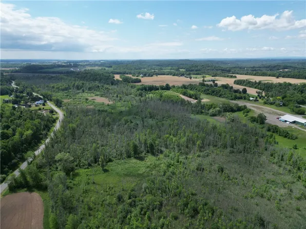 Layton Street Rd Lot 255, Lyons, NY 14489