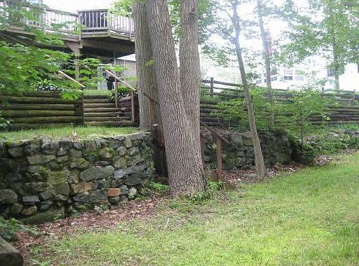 Lower back yard
