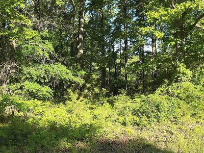 25 Lake Point Dr, Flippin, AR, 72634