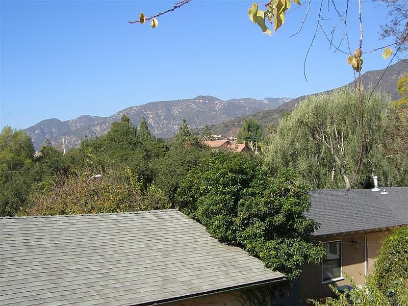 Backyard View