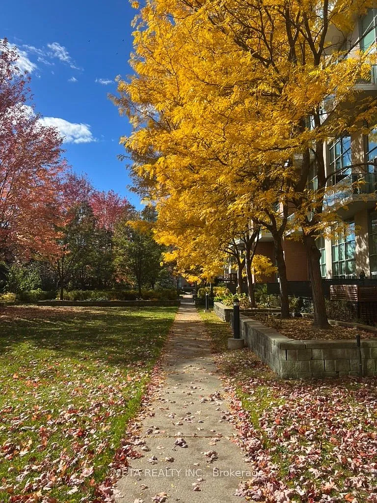 2 bed, $3,100 — Photo 1