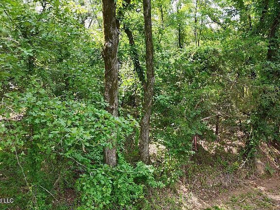 4th image of 0 Chapel Hill Rd
