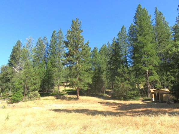 4426 Bald Mountain Rd, West Point, CA 95255