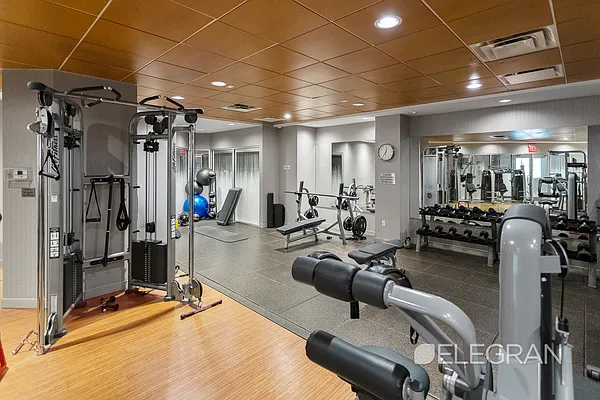 Rented by (Legacy) Elegran | media 62