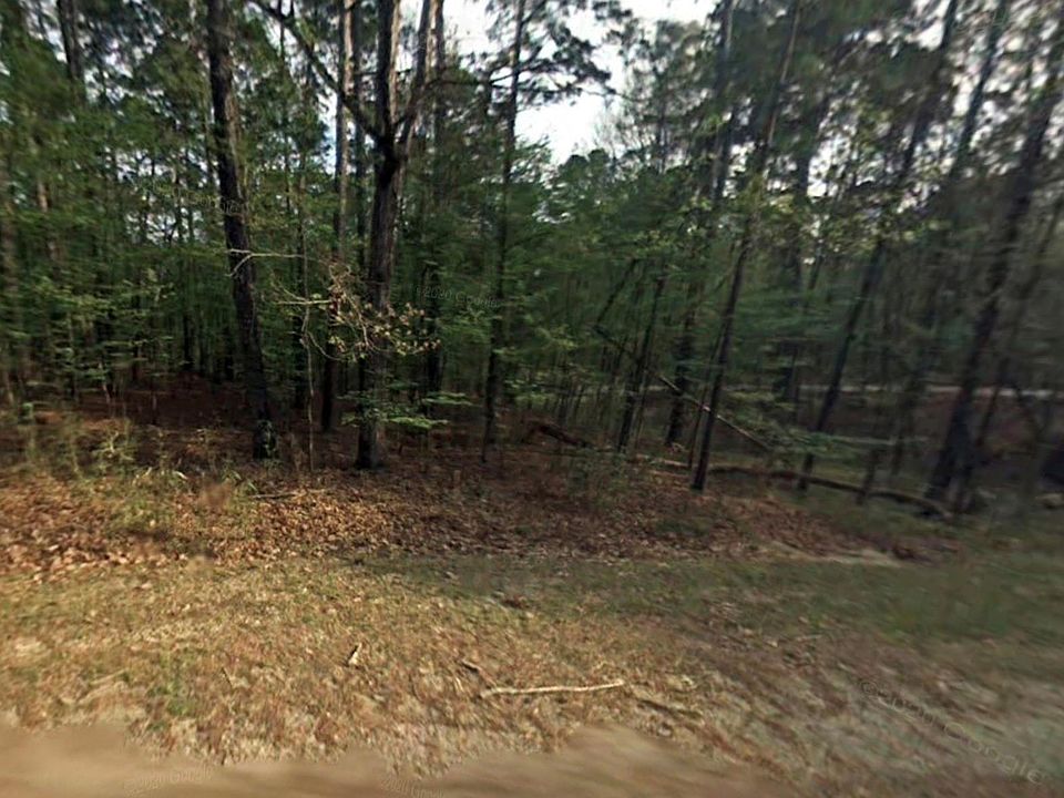 2nd image of 58 S Pine Harbour Dr