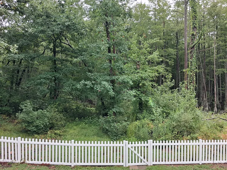 215 Diamond Point Trl — Photo 11
