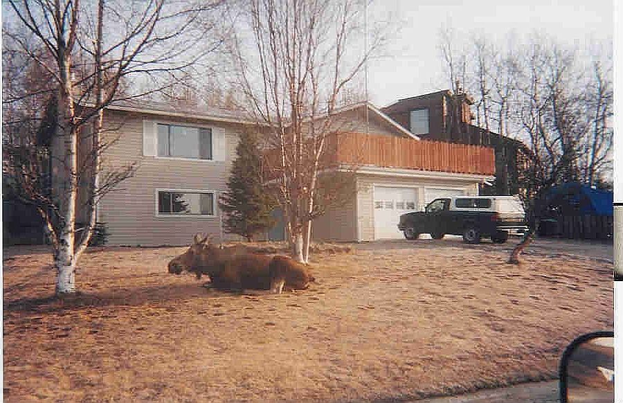 2002