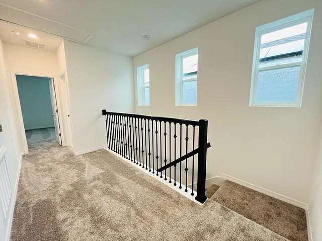 4146 Pino St — Photo 12