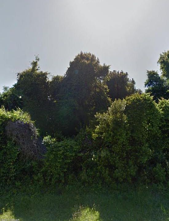 1st image of 3218 Woodland Dr