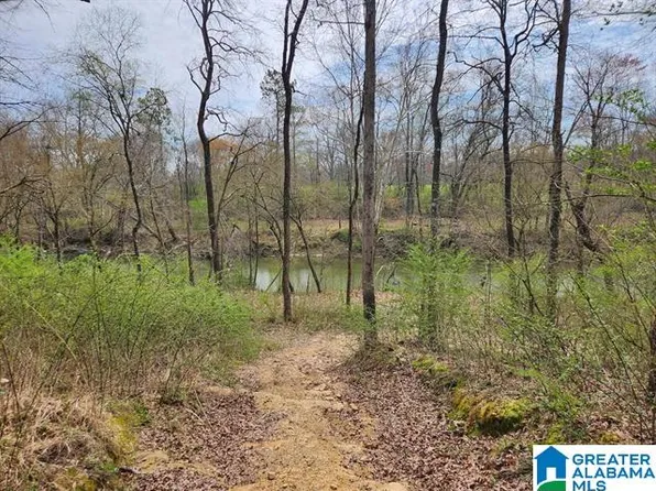 164 Sherwood Dr, Altoona, AL 35952