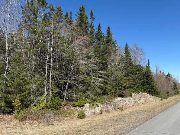 Lot 7-10 US RTE 1, Robbinston, ME 04671