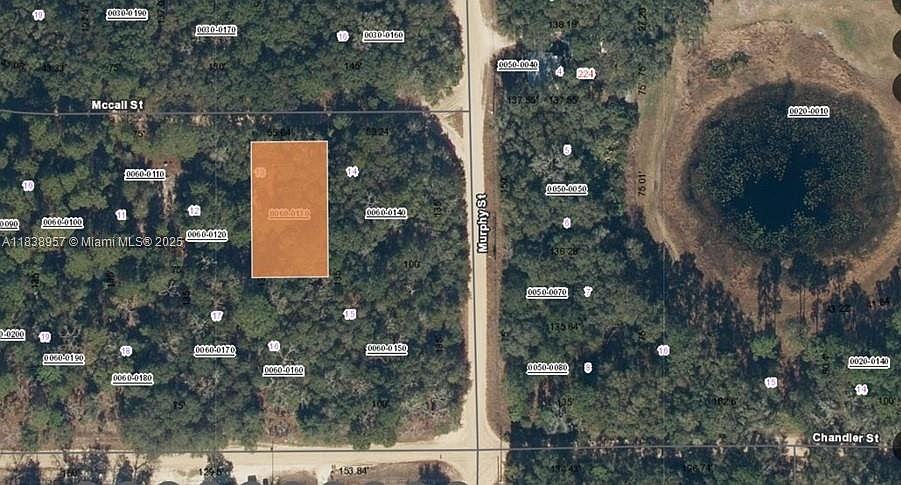 2nd image of 0 McCall St