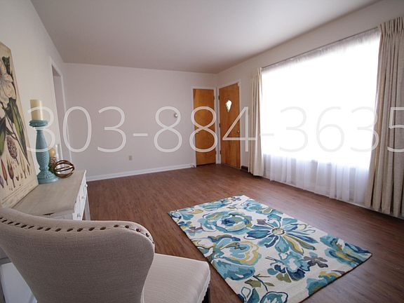 Large living room with lots of light and new paint and plank floor.