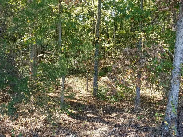 33-51C Zachary Taylor Hwy, Unionville, VA 22567