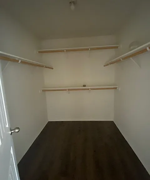 3903 Jake Spoon Dr — Photo 11