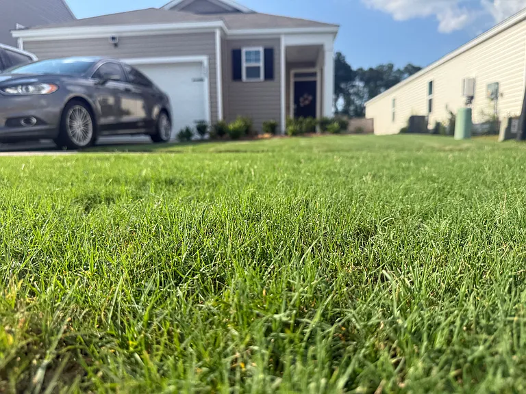 620 Ladywood Dr — Photo 16