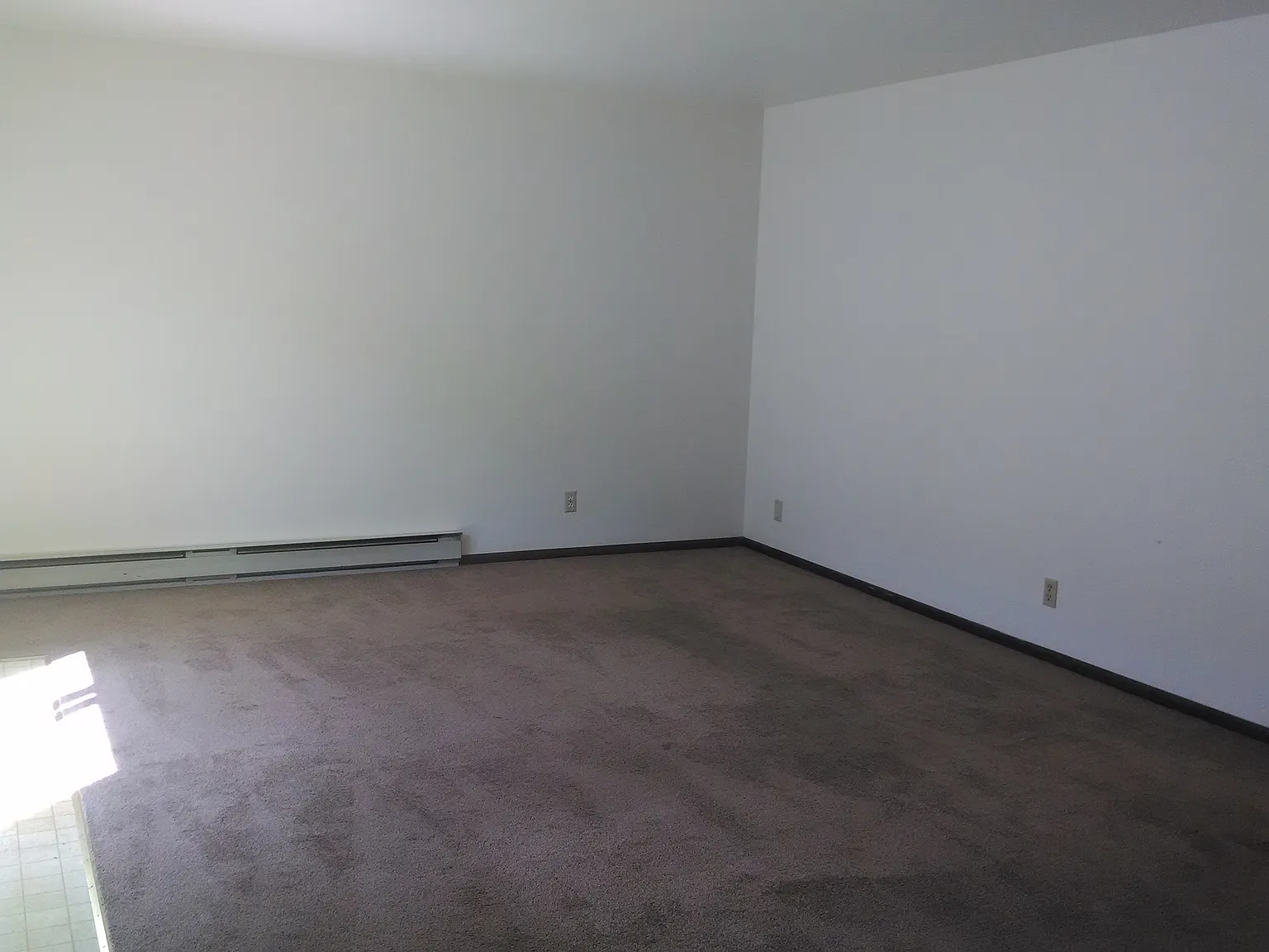 3 bed, 1.5 bath, $1,290 — Photo 3