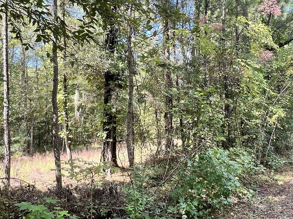 2nd image of 1568 Mendel Rivers Rd