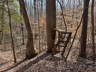 5th image of 0 McKowns Mountain Rd