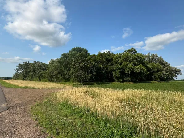 Xxx 165th Ave NE, Foley, MN 56329