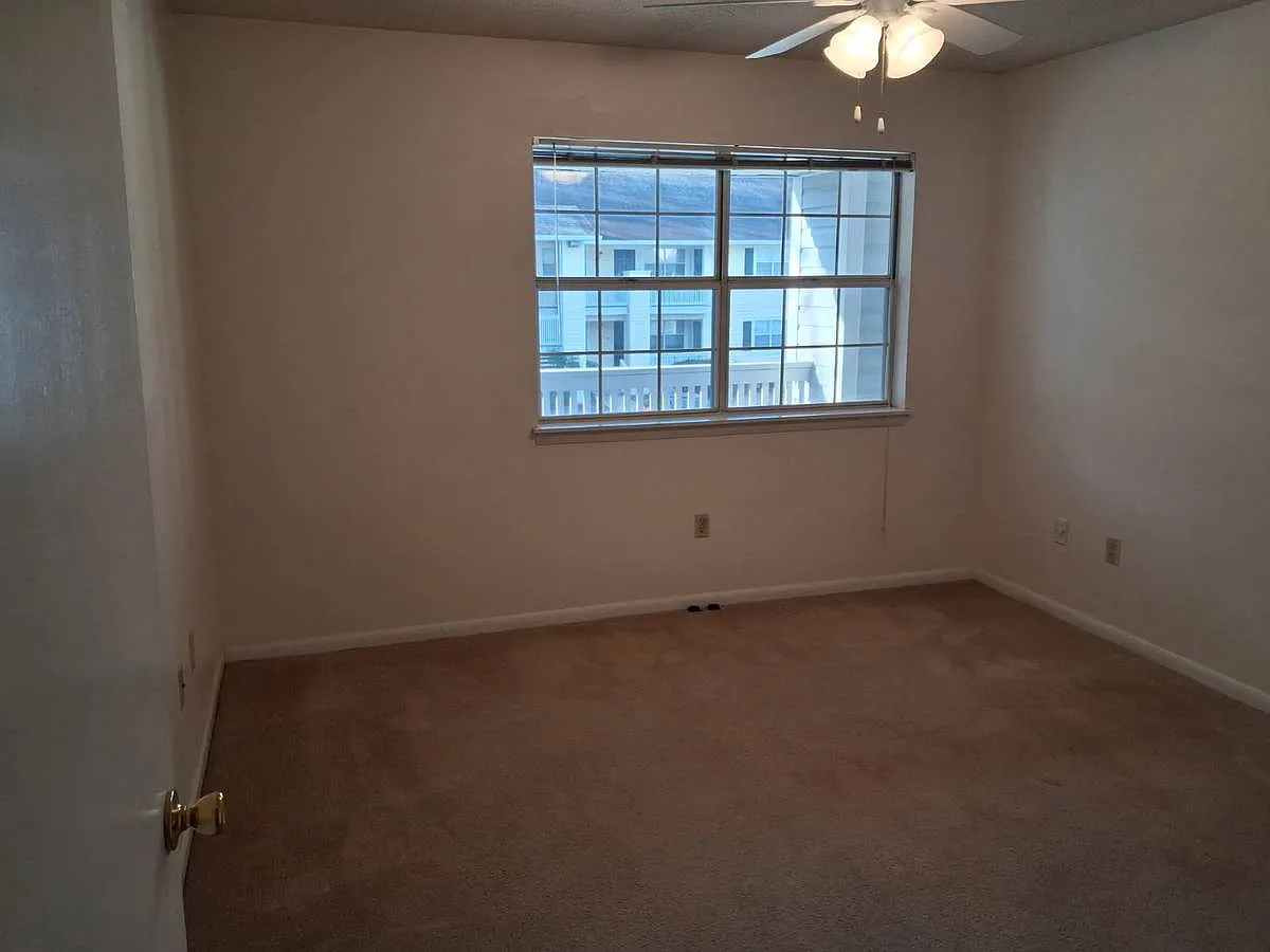 11102 Abercorn St — Photo 4