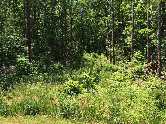 2nd image of 2941 Cabin Creek Dr