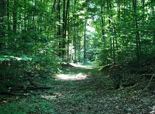 Honeysette Rd, Alanson, MI 49706