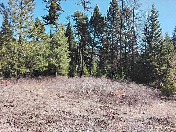 3rd image of 0 Cougar Loop Drive