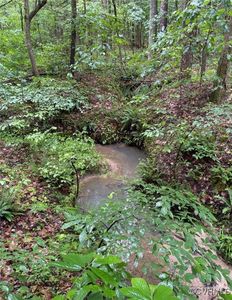 Old Buckingham Rd Lot 5, Powhatan, VA, 23139