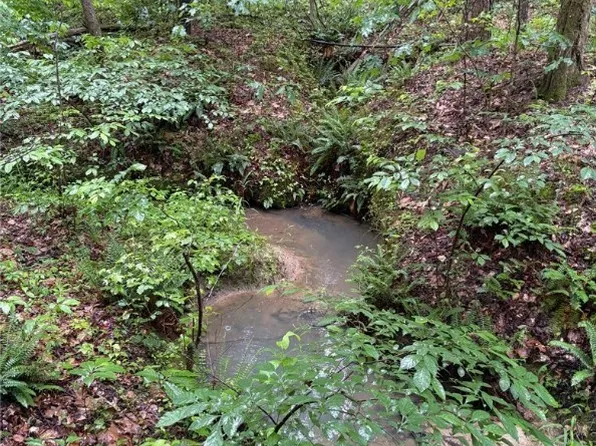 Old Buckingham Rd Lot 5, Powhatan, VA 23139