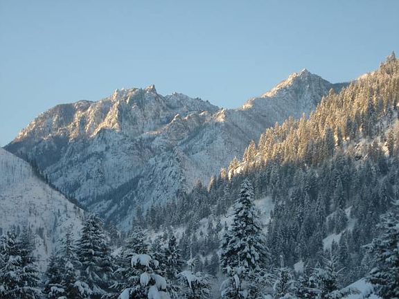 Mt View