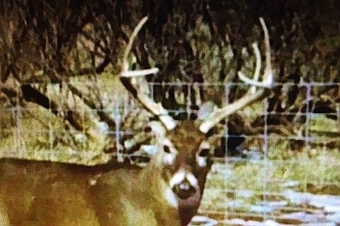3rd image of Ranch Rd #1919