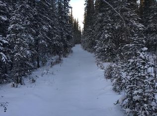 B1-L4 Scoby Way, Tok, AK 99780