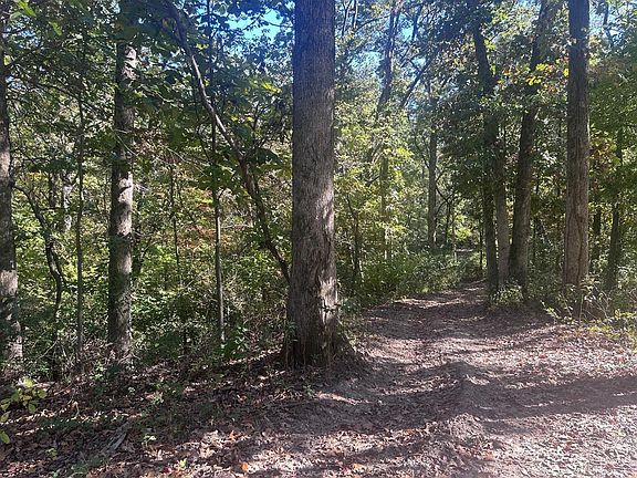 5th image of 0 Jacks Run Rd