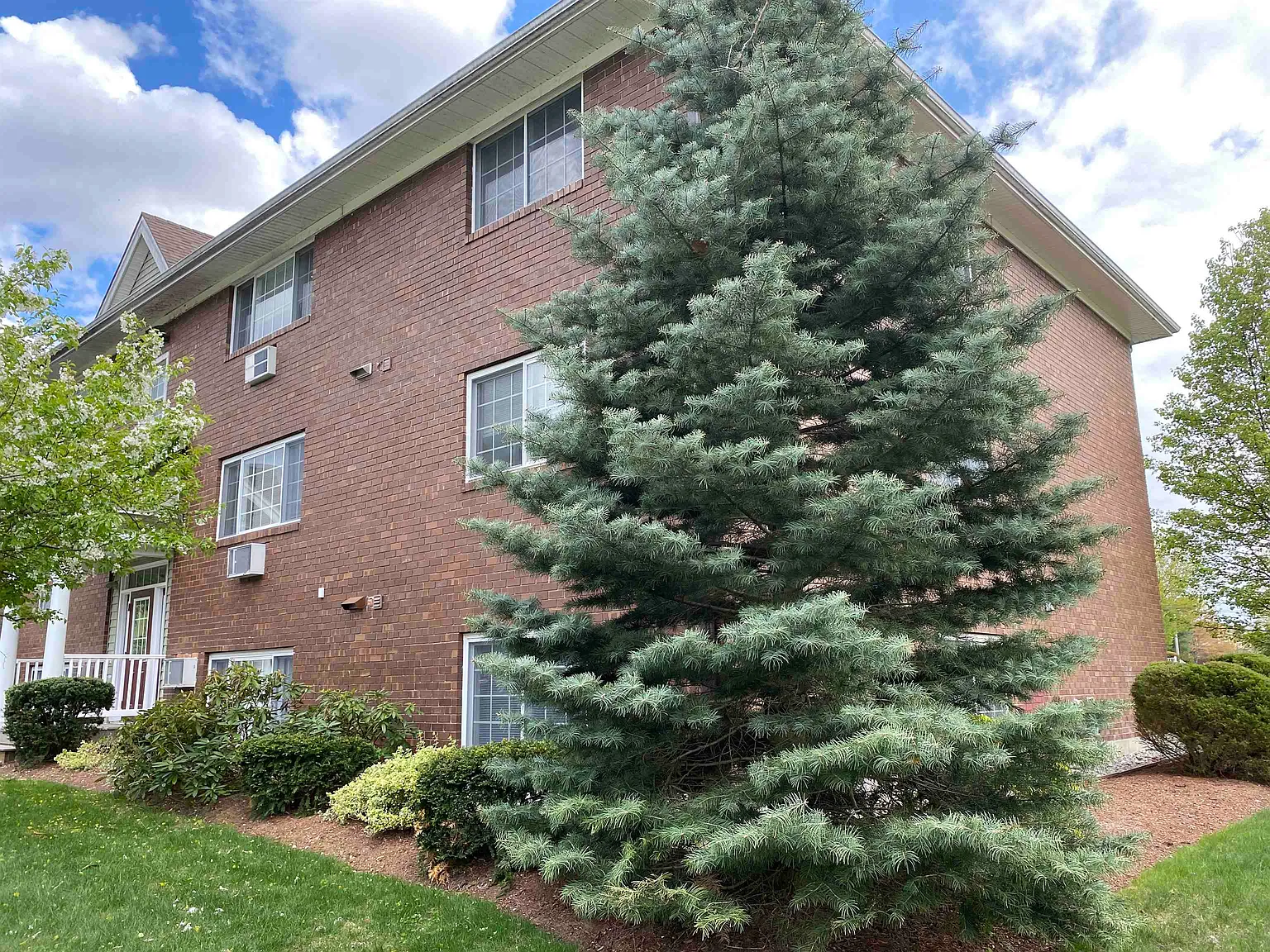 2 bed, 1.0 bath, 720 sqft, $1,809 — Photo 4