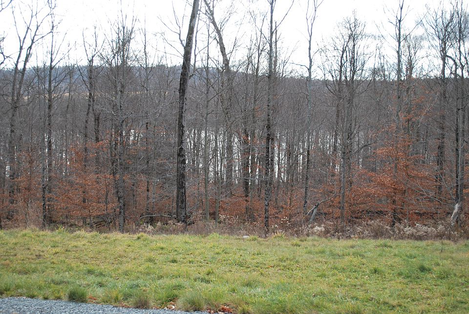 1st image of Lot 78 - The Woods At Duck Harbor