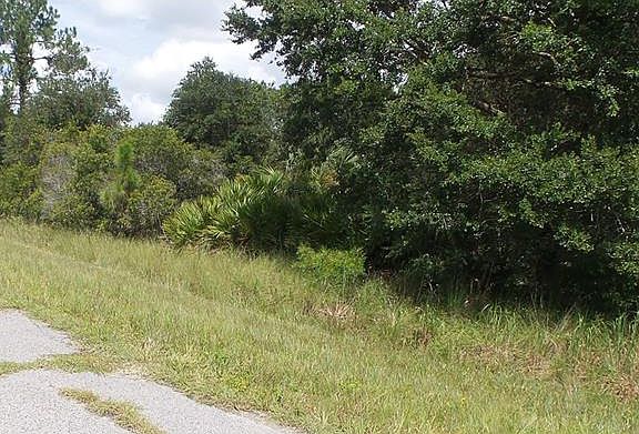 3rd image of Norton Dr
