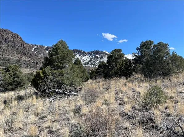 P 15 Butte Valley, Ely, NV 89301