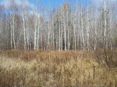 240th Ave, McGregor, MN, 55760