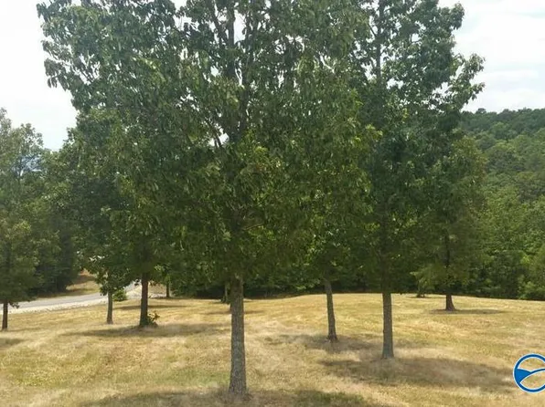 47 County Road 767, Cedar Bluff, AL 35959