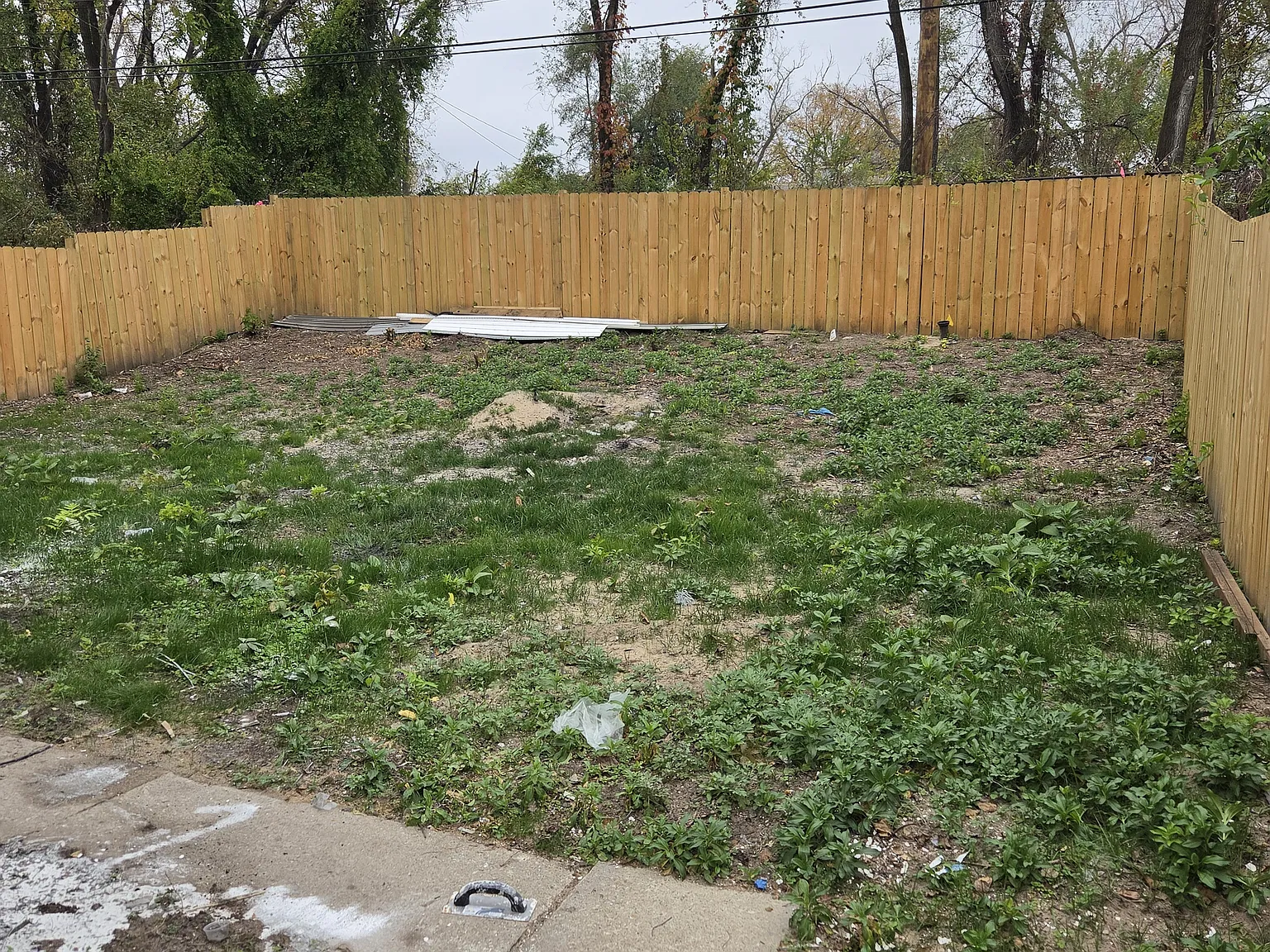 2 bed, 780 sqft, $1,500 — Photo 4