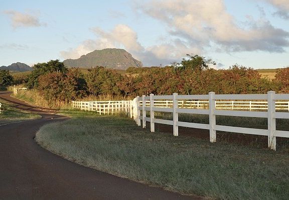 4th image of D Ala Kinoiki Hwy