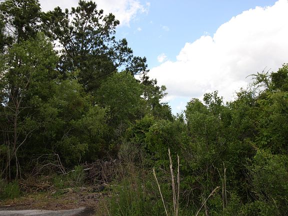 3rd image of 1.25 Acres Southgate Boulevard SE