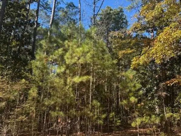 403 Highland Park Loop, Pine Mountain, GA 31822