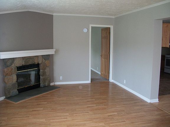 Living room with fireplace