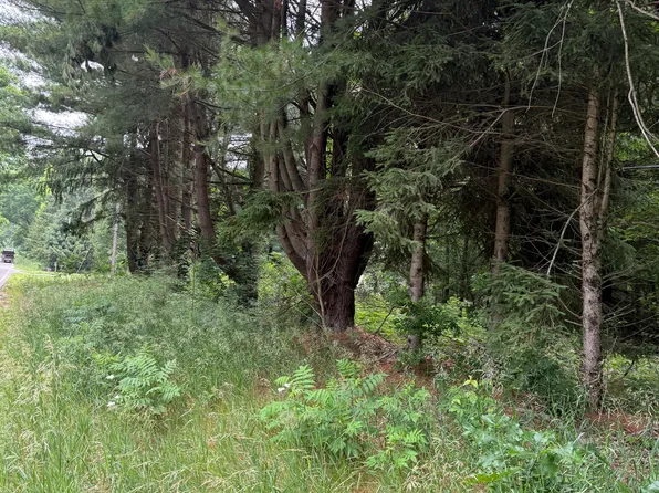 23250 W Wood Lake Rd, Pierson, MI 49339