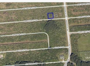 819 Parrotfish St SW, Palm Bay, FL 32908